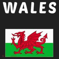Wales Cymru Flag Souvenir Gift Cardiff Welsh Tumbler thumb 3