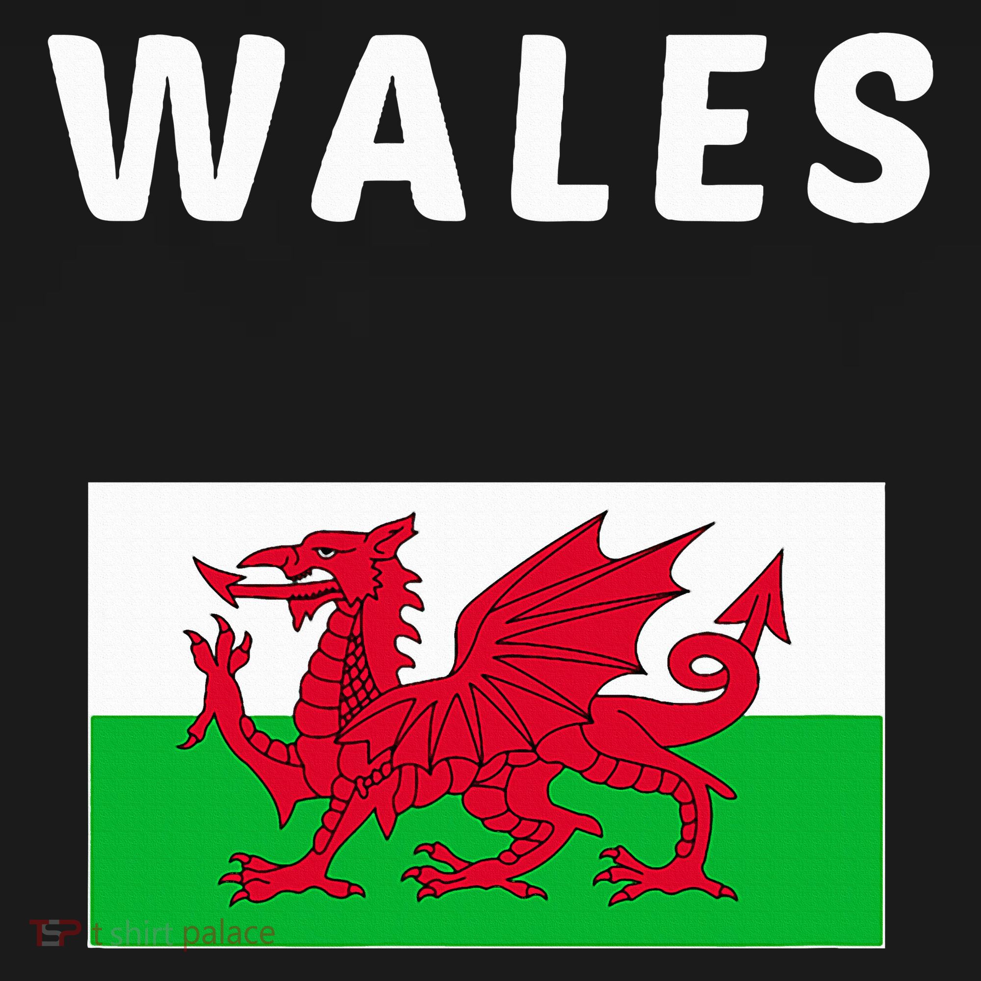 Wales Cymru Flag Souvenir Gift Cardiff Welsh Women's Tank Top