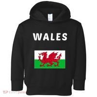 Wales Cymru Flag Souvenir Gift Cardiff Welsh Toddler Hoodie thumb 0