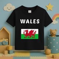 Wales Cymru Flag Souvenir Gift Cardiff Welsh Toddler T-Shirt thumb 3