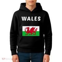 Wales Cymru Flag Souvenir Gift Cardiff Welsh Kids Hoodie thumb 4