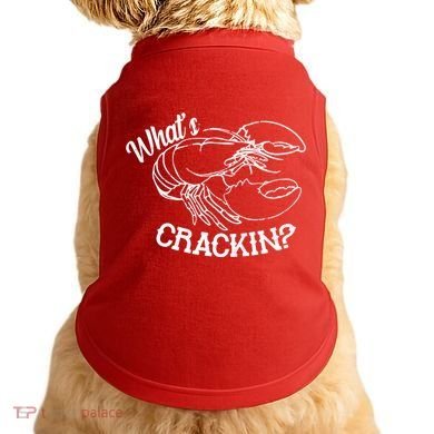 Whats Crackin Funny Lobster Doggie Tank