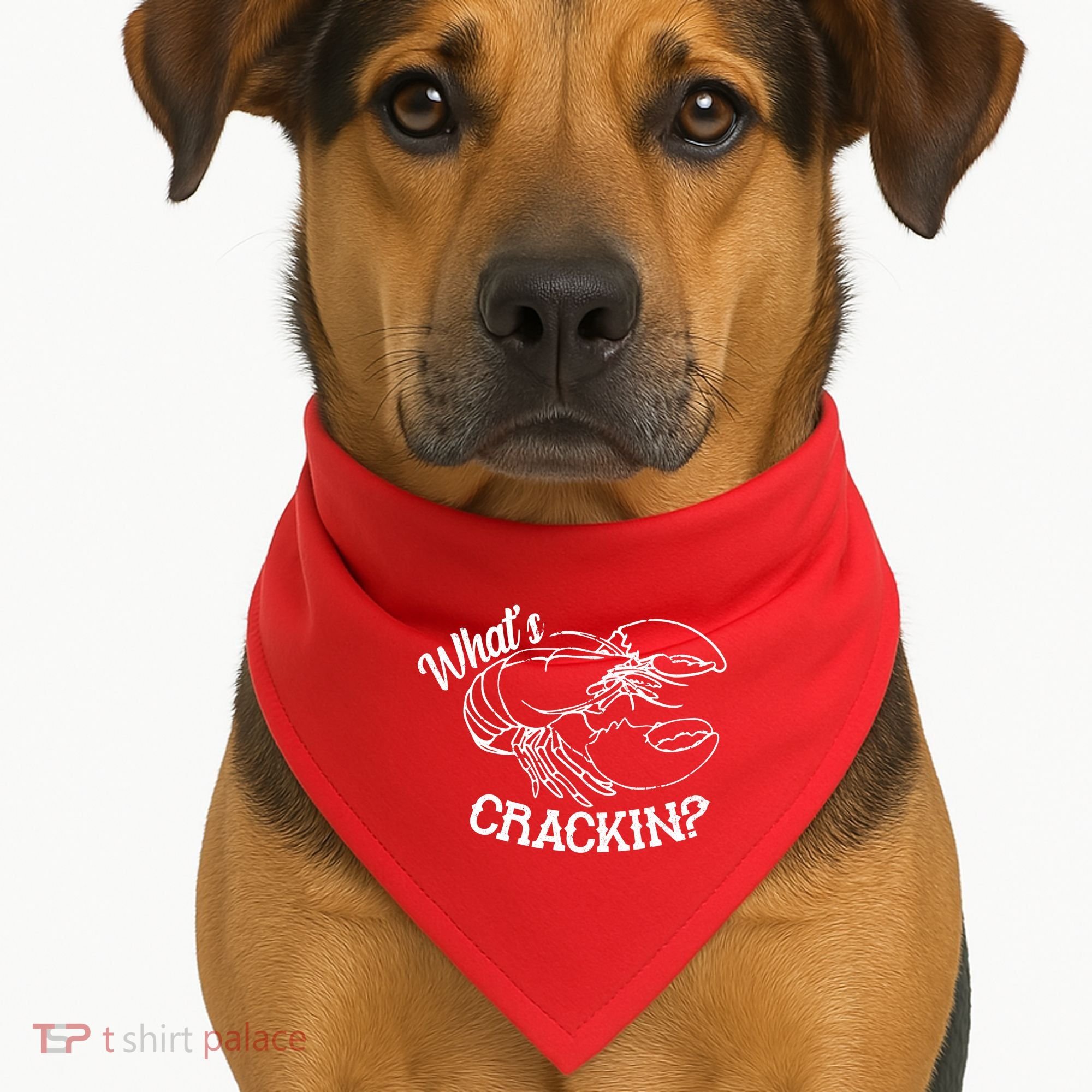 Whats Crackin Funny Lobster USA-Made Doggie Bandana