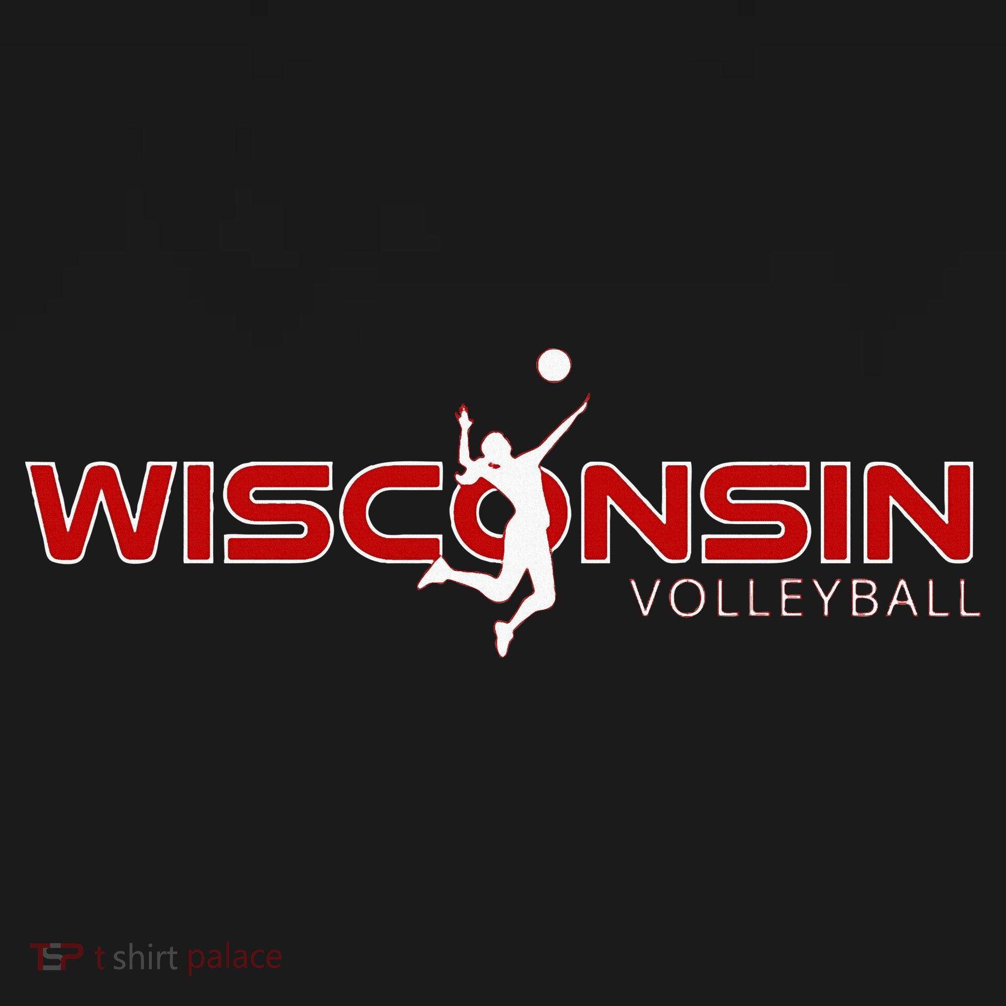 Wi Court Game The Badger State Souvenir Wisconsin Volleyball Women's Tank Top