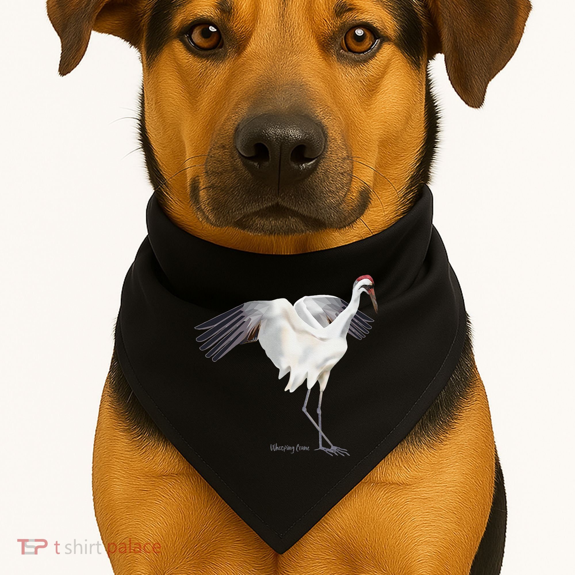 Whooping Crane Graphic Wildlife Bird Watching USA-Made Doggie Bandana