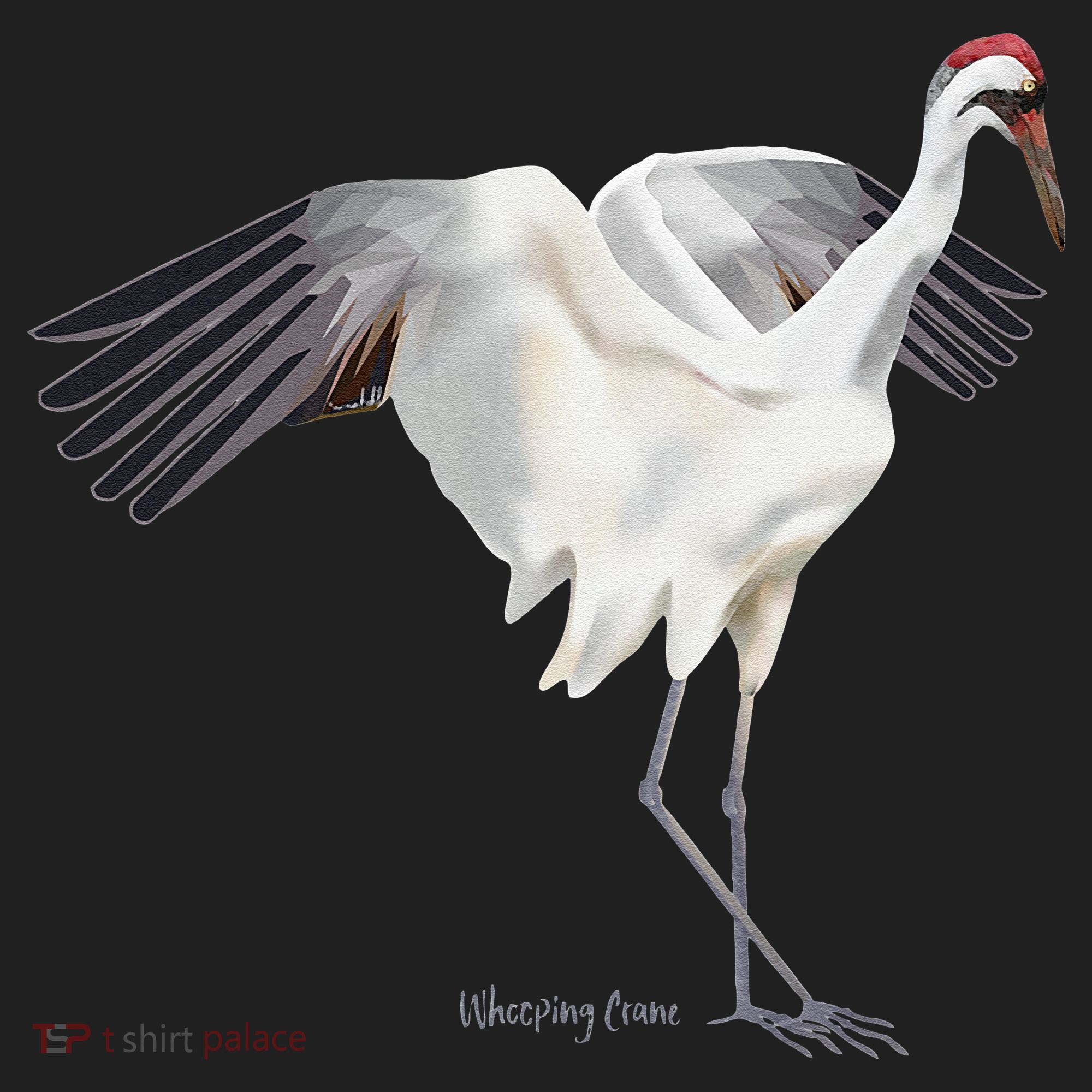 Whooping Crane Graphic Wildlife Bird Watching Five-Panel Snapback Cap