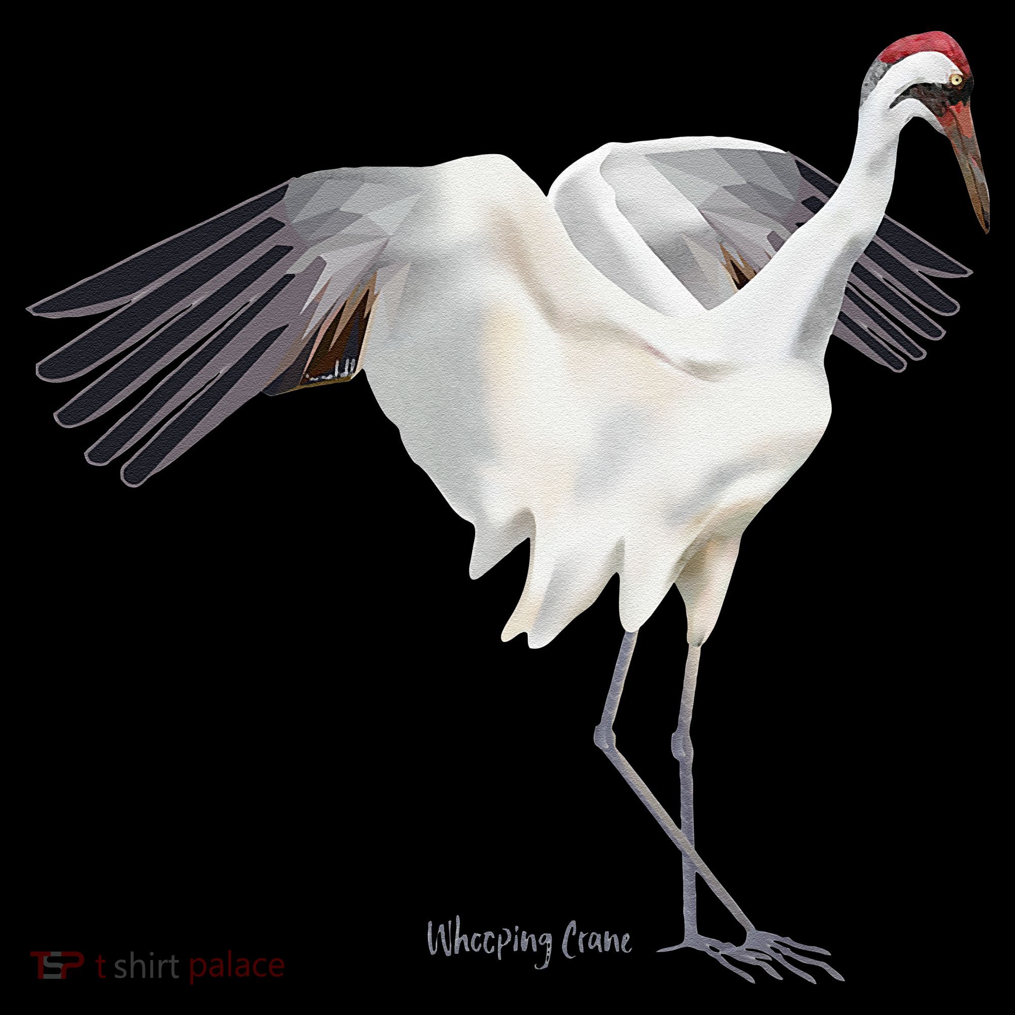 Whooping Crane Graphic Wildlife Bird Watching T-Shirt