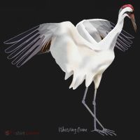 Whooping Crane Graphic Wildlife Bird Watching Backpack thumb 2
