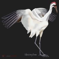 Whooping Crane Graphic Wildlife Bird Watching Hat thumb 2