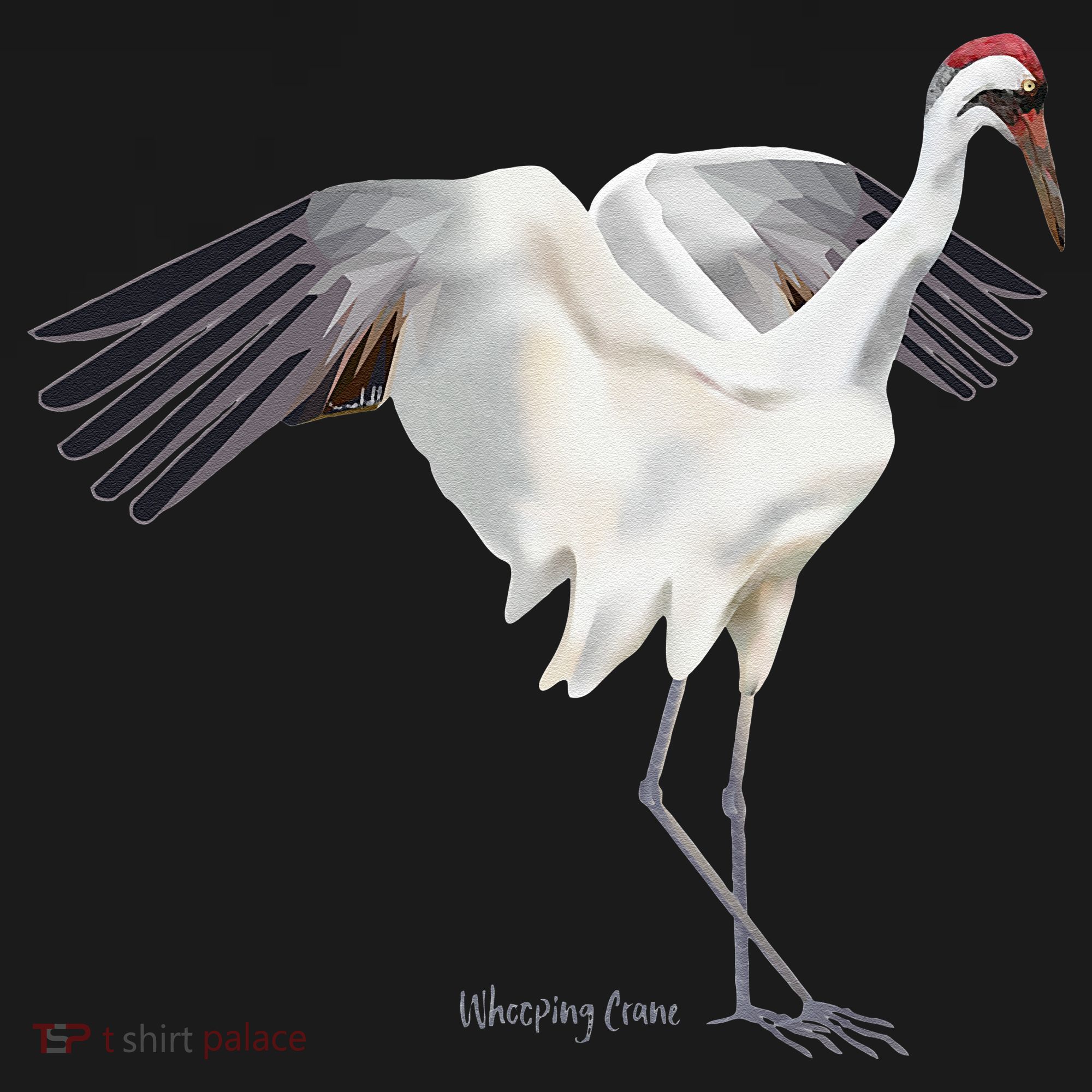 Whooping Crane Graphic Wildlife Bird Watching Tote Bag
