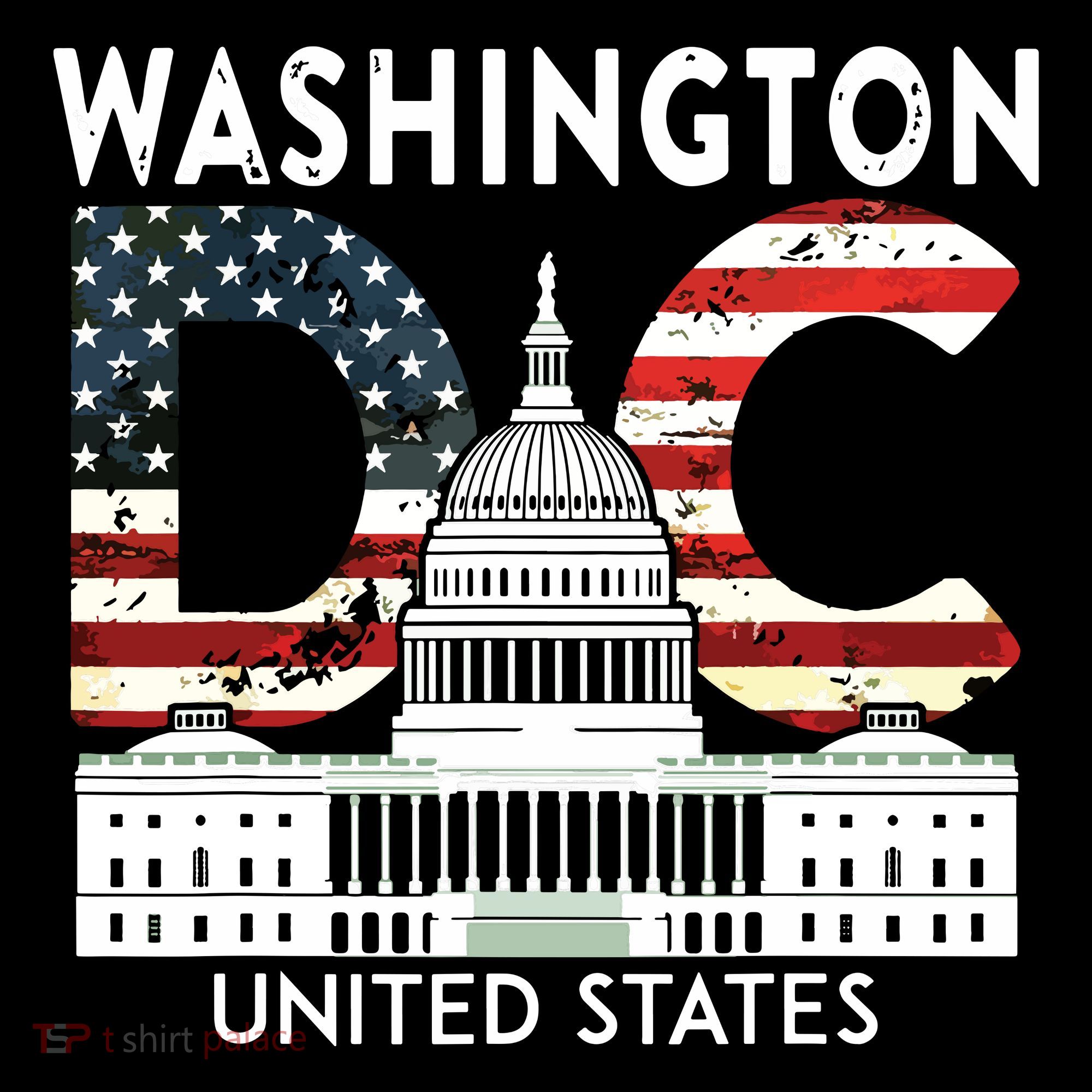 Washington Capitol Hill Souvenir Gift Washington Dc Women's Hoodie