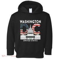 Washington Capitol Hill Souvenir Gift Washington Dc Toddler Hoodie thumb 0