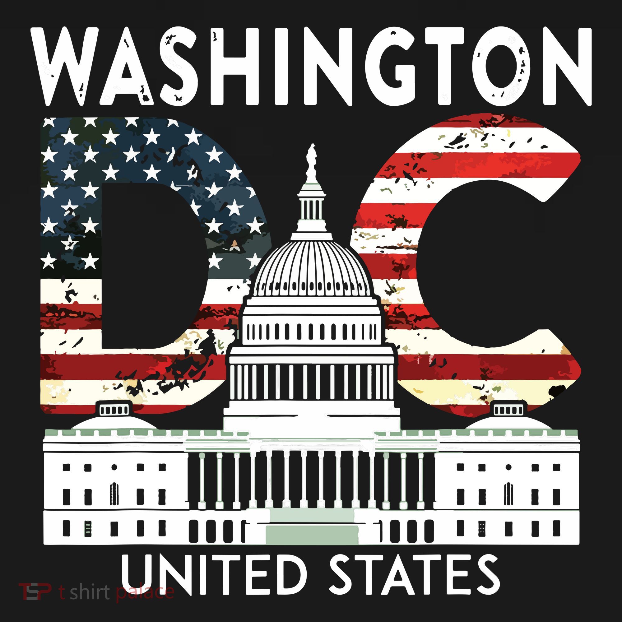 Washington Capitol Hill Souvenir Gift Washington Dc Visor