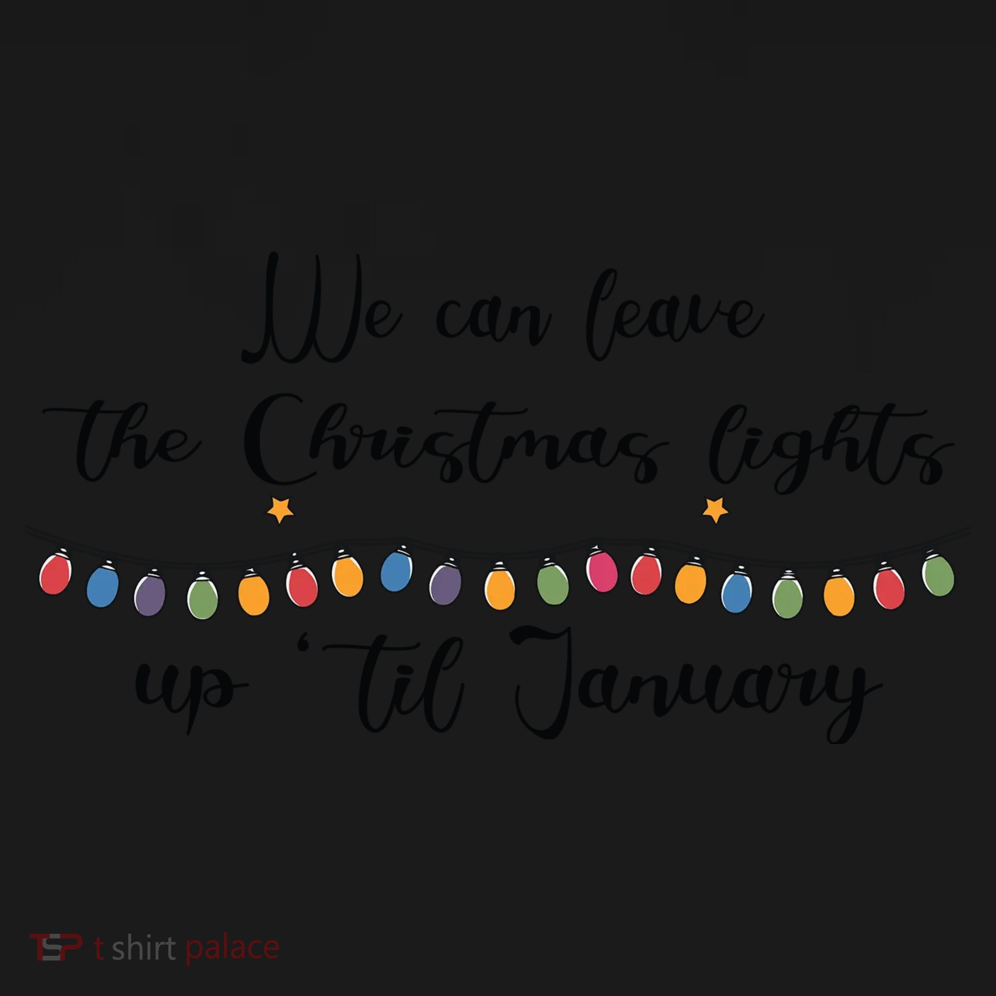 We Can Leave The Christmas Lights Until January Lovers Coaster