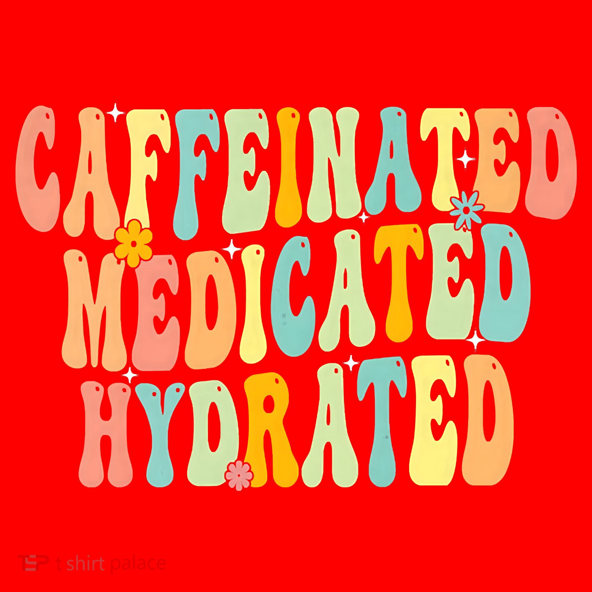 Womens Caffeinated Medicated Hydrated Funny Saying Nurse Teacher Santa Hat