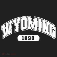 Wyoming Collegiate Style 1890 Tumbler thumb 3