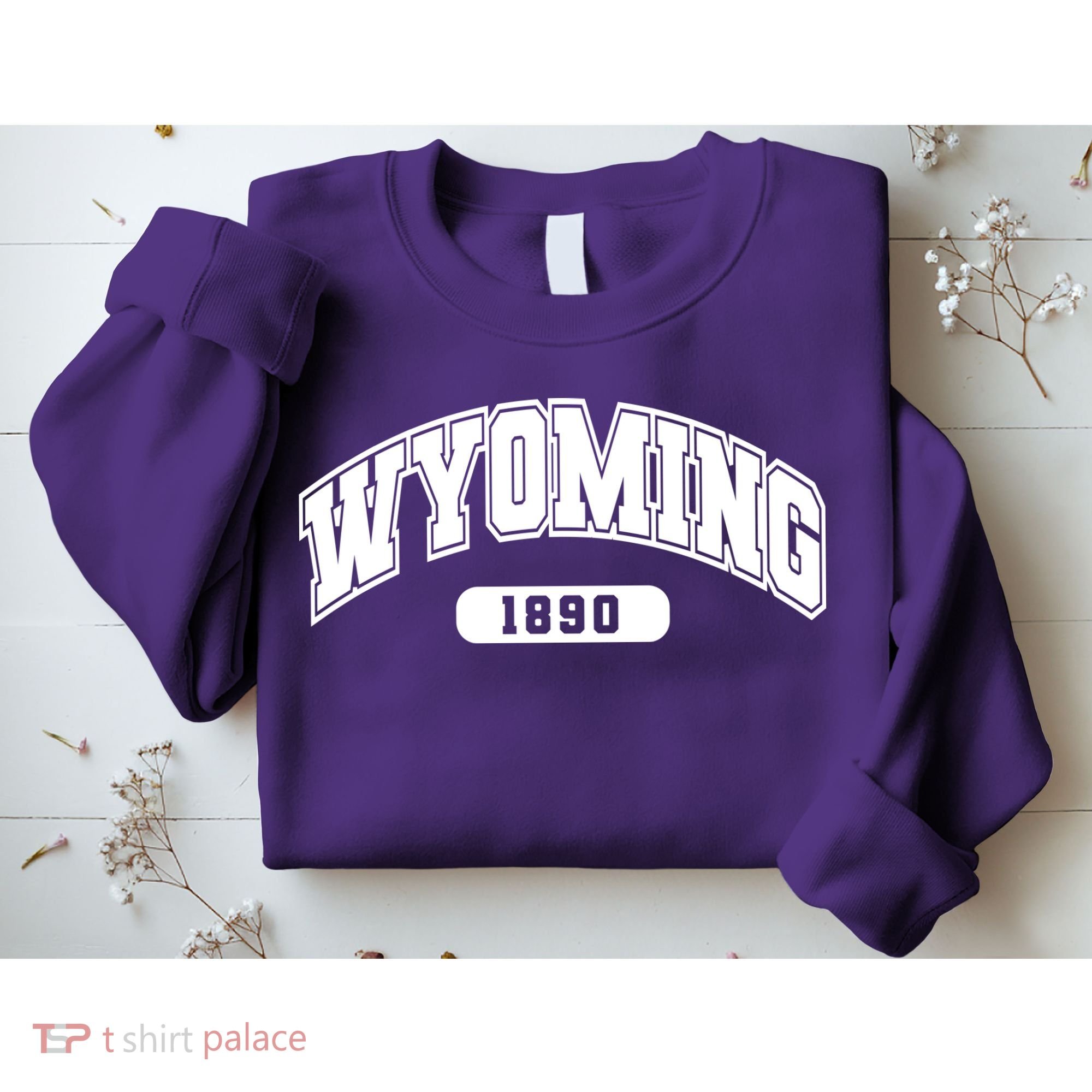 Wyoming Collegiate Style 1890 Sweatshirt