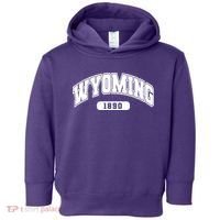 Wyoming Collegiate Style 1890 Toddler Hoodie thumb 0