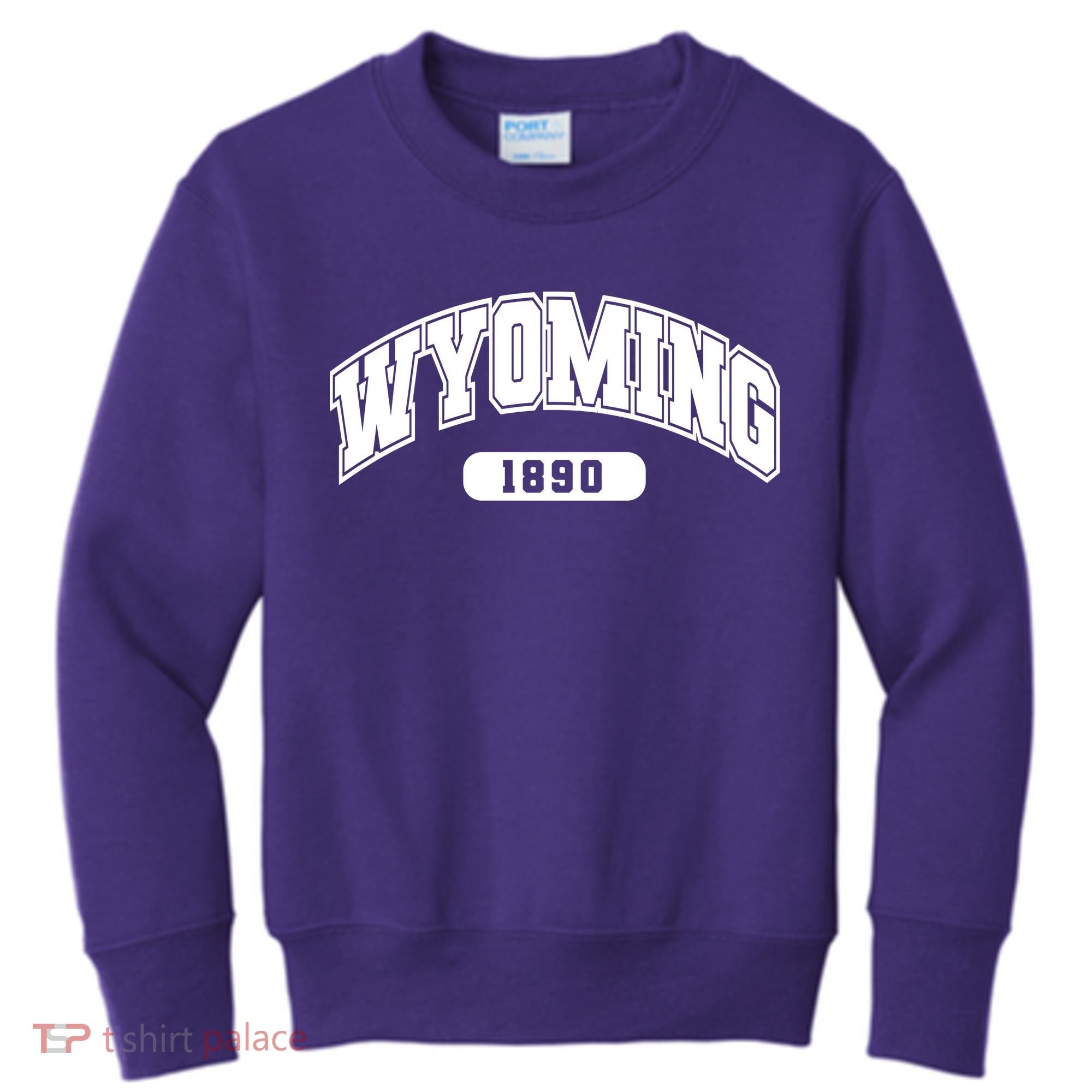 Wyoming Collegiate Style 1890 Kids Sweatshirt