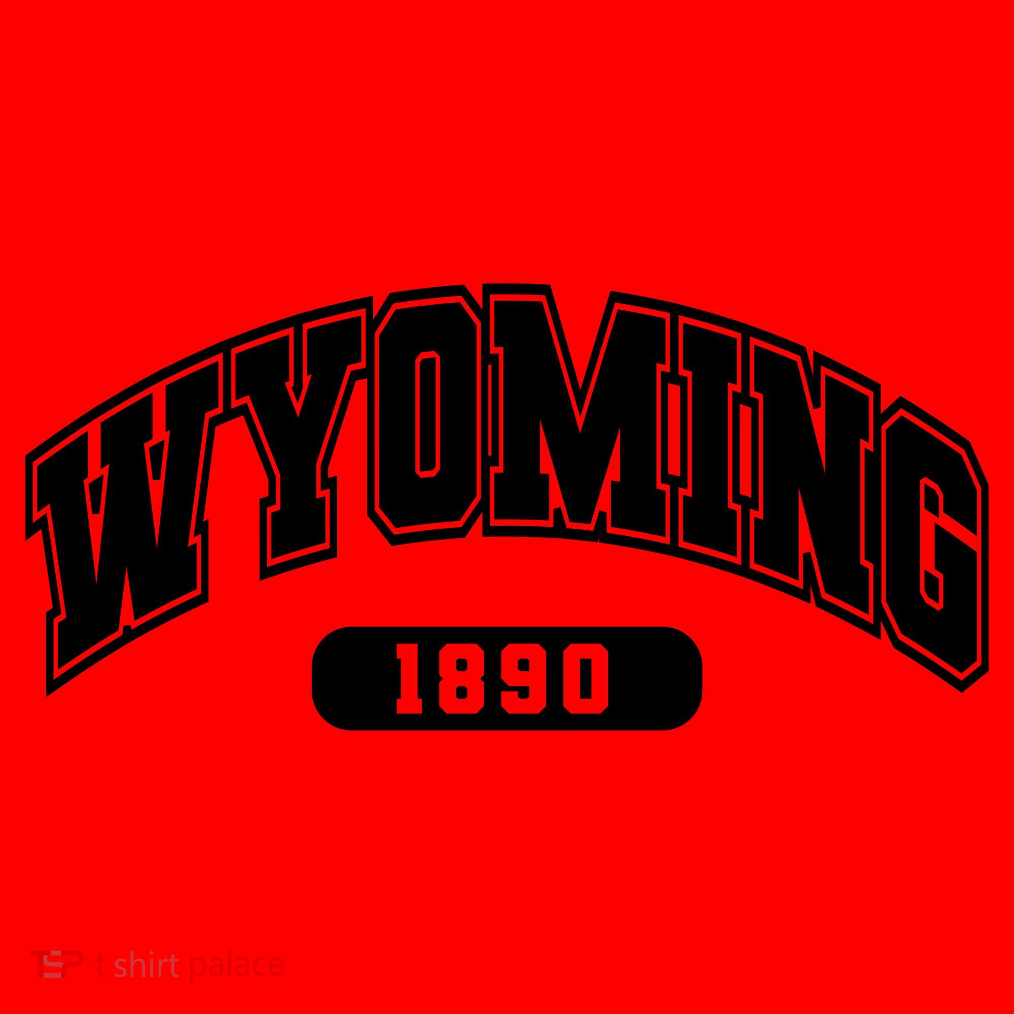 Wyoming Collegiate Style 1890 Santa Hat