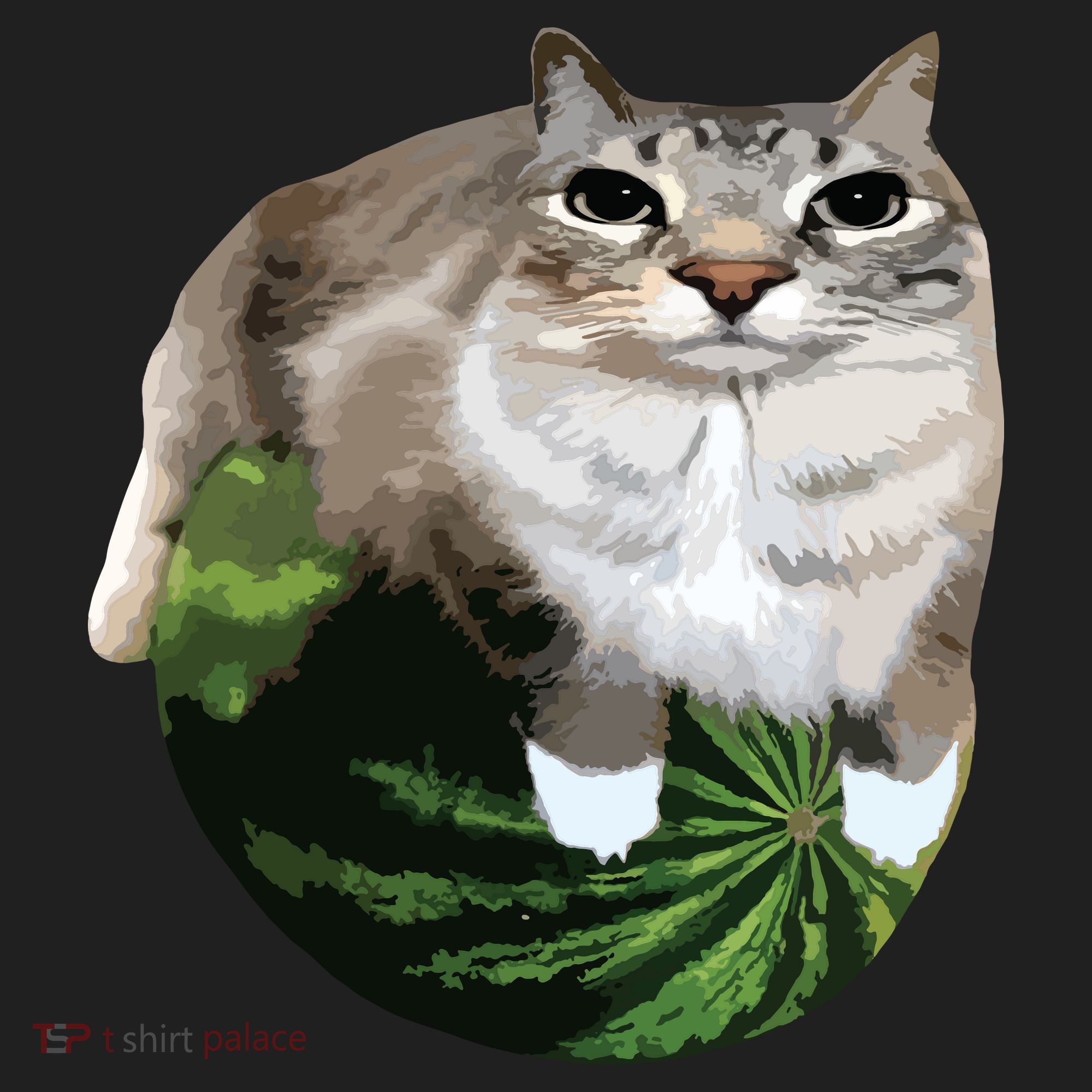 Watermelon Cat Silly Cat Meme Women's Sweatshirt