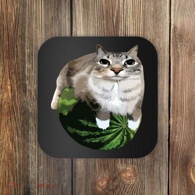 Watermelon Cat Silly Cat Meme Coaster