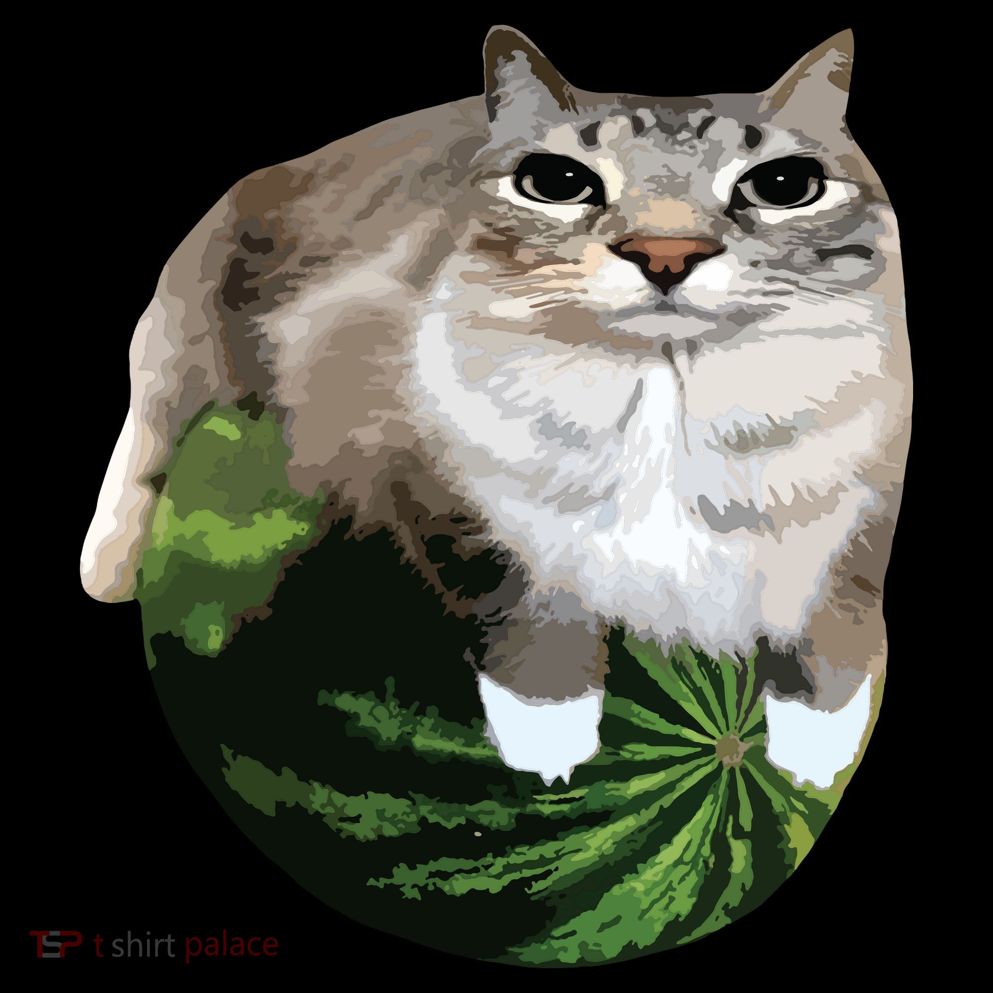 Watermelon Cat Silly Cat Meme Coaster