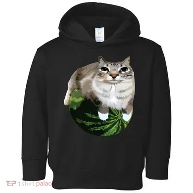 Watermelon Cat Silly Cat Meme Toddler Hoodie
