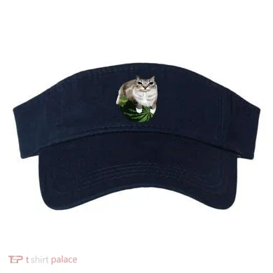 Visor