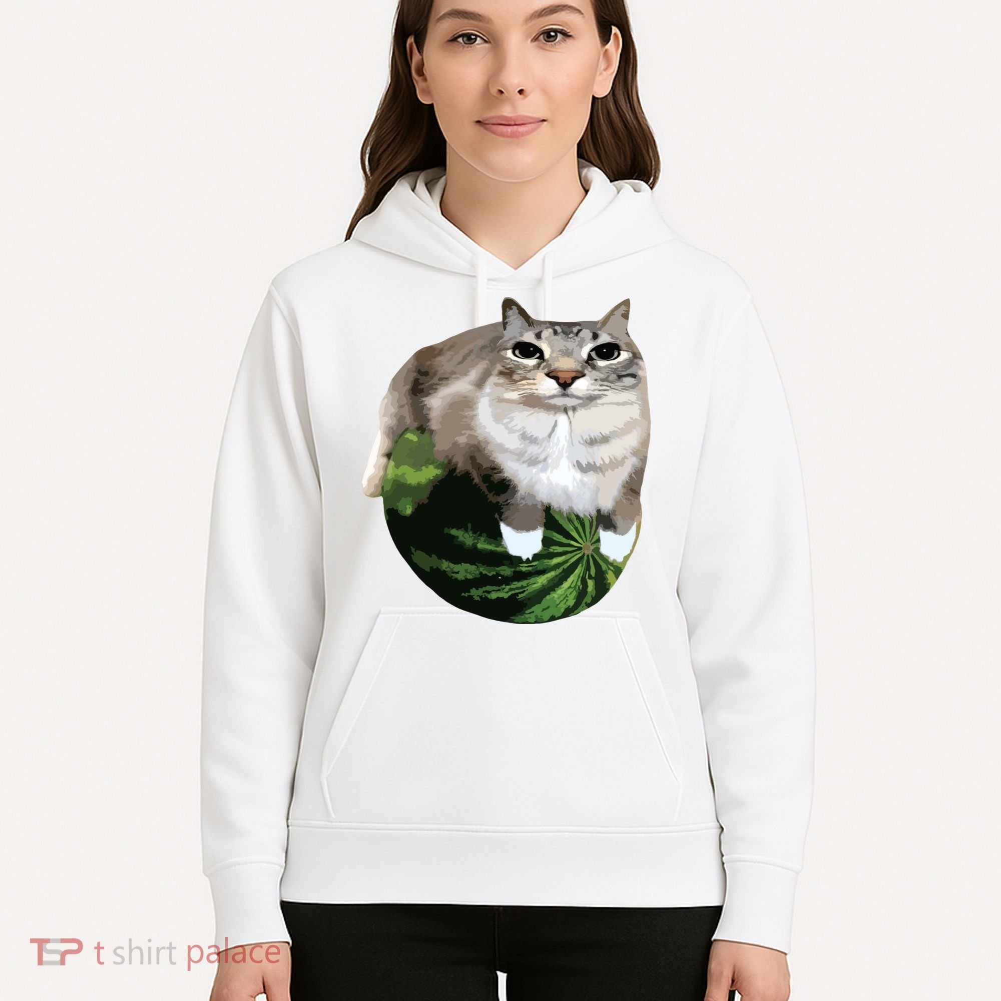 Watermelon Cat Silly Cat Meme Hoodie