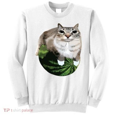 Watermelon Cat Silly Cat Meme Sweatshirt