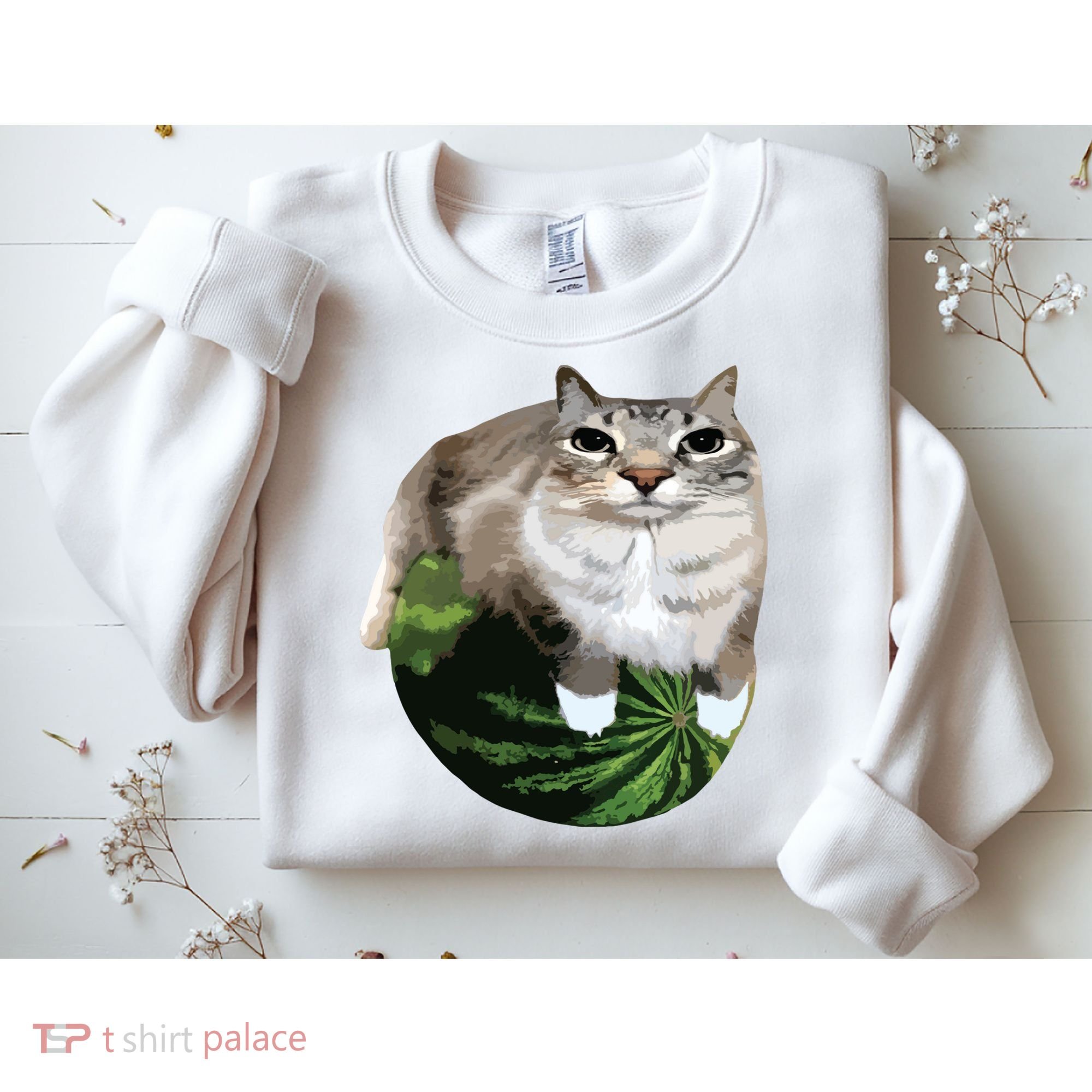 Watermelon Cat Silly Cat Meme Sweatshirt