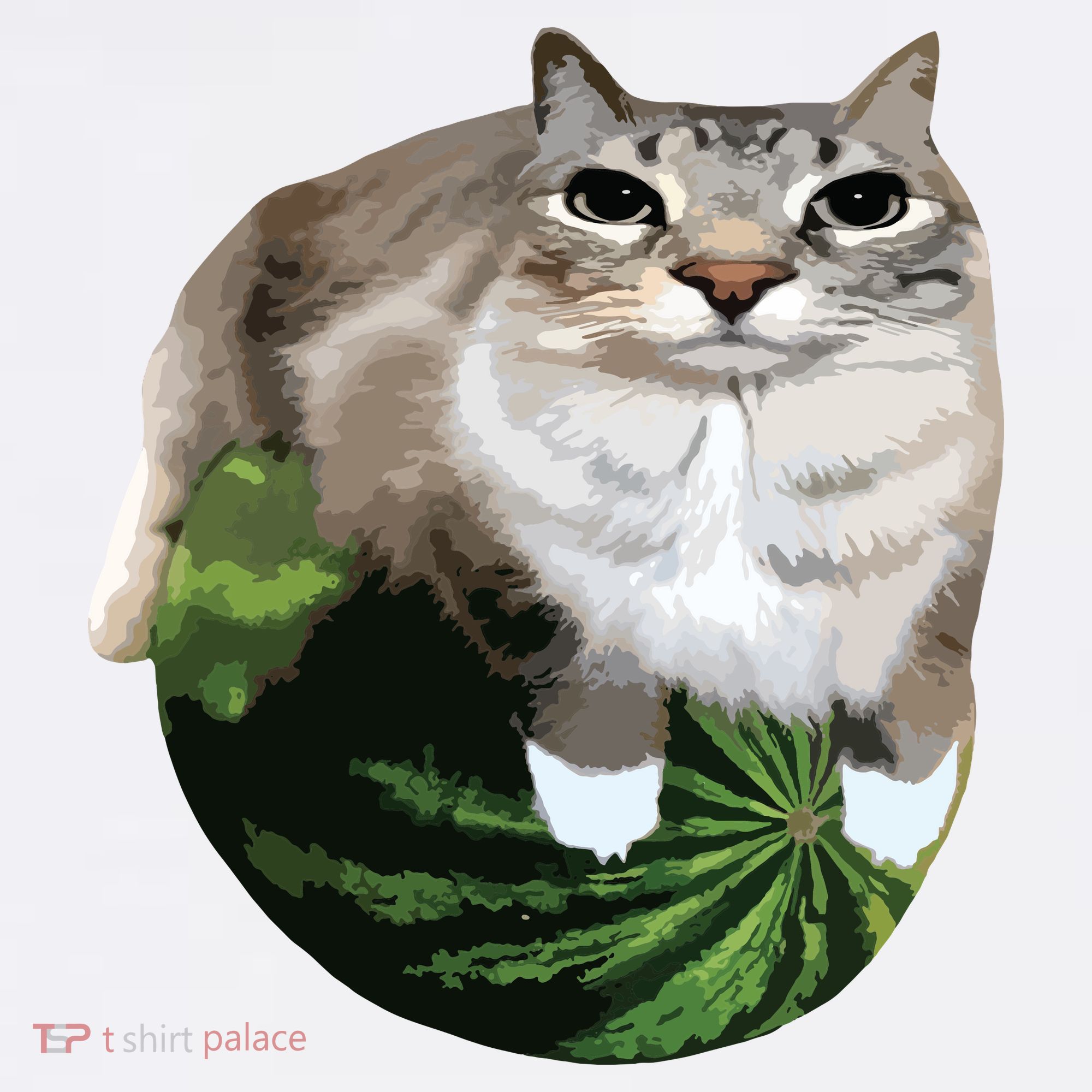 Watermelon Cat Silly Cat Meme Button