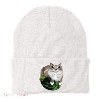 Watermelon Cat Silly Cat Meme Beanie