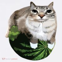 Watermelon Cat Silly Cat Meme District V.I.T. Heavyweight Hoodie thumb 2