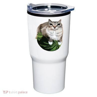 Watermelon Cat Silly Cat Meme Tumbler