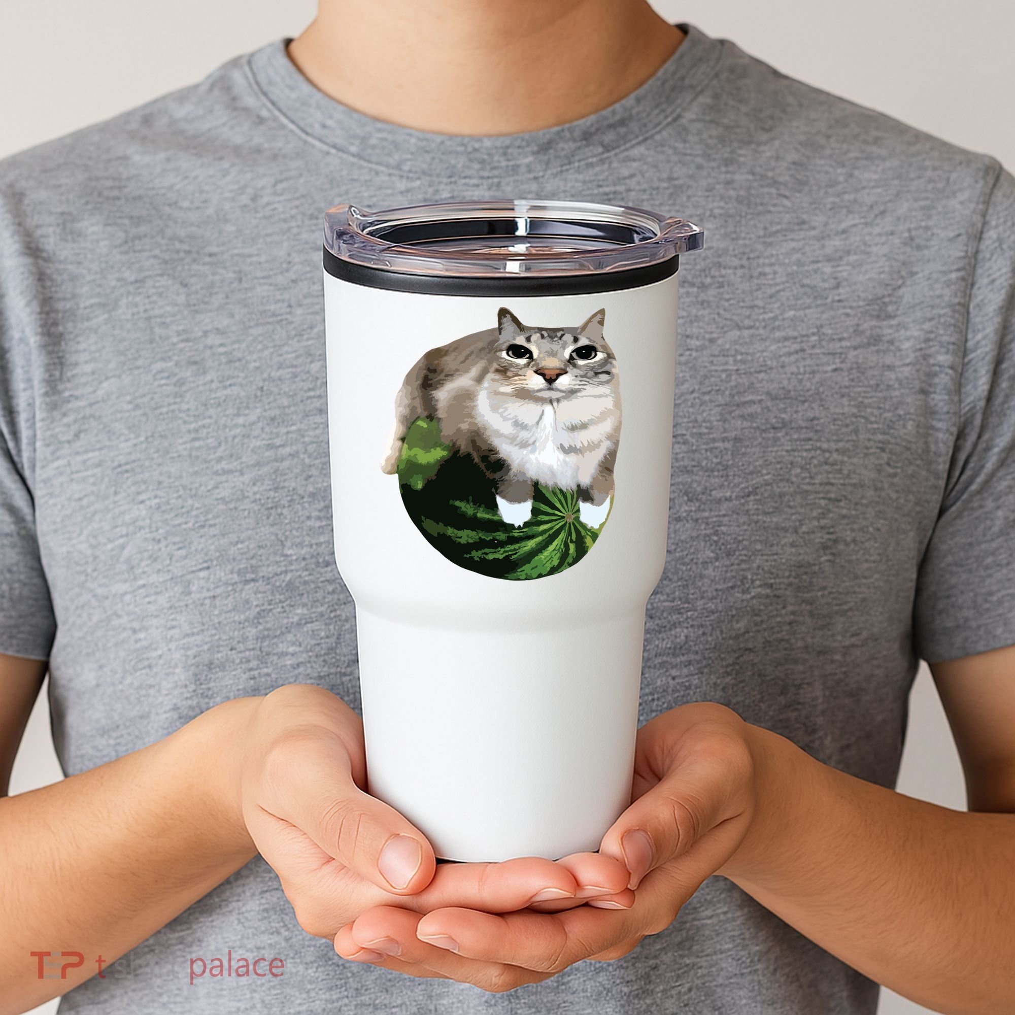 Watermelon Cat Silly Cat Meme Tumbler