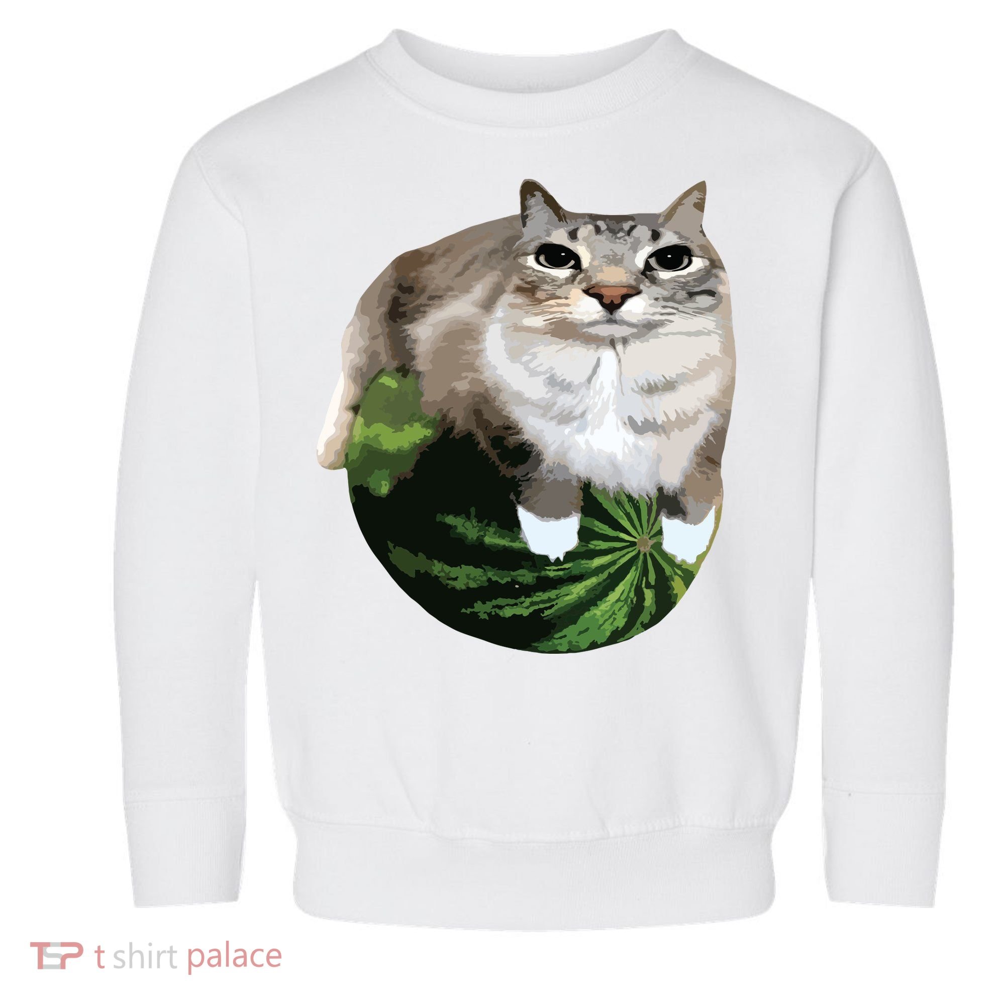 Watermelon Cat Silly Cat Meme Toddler Sweatshirt
