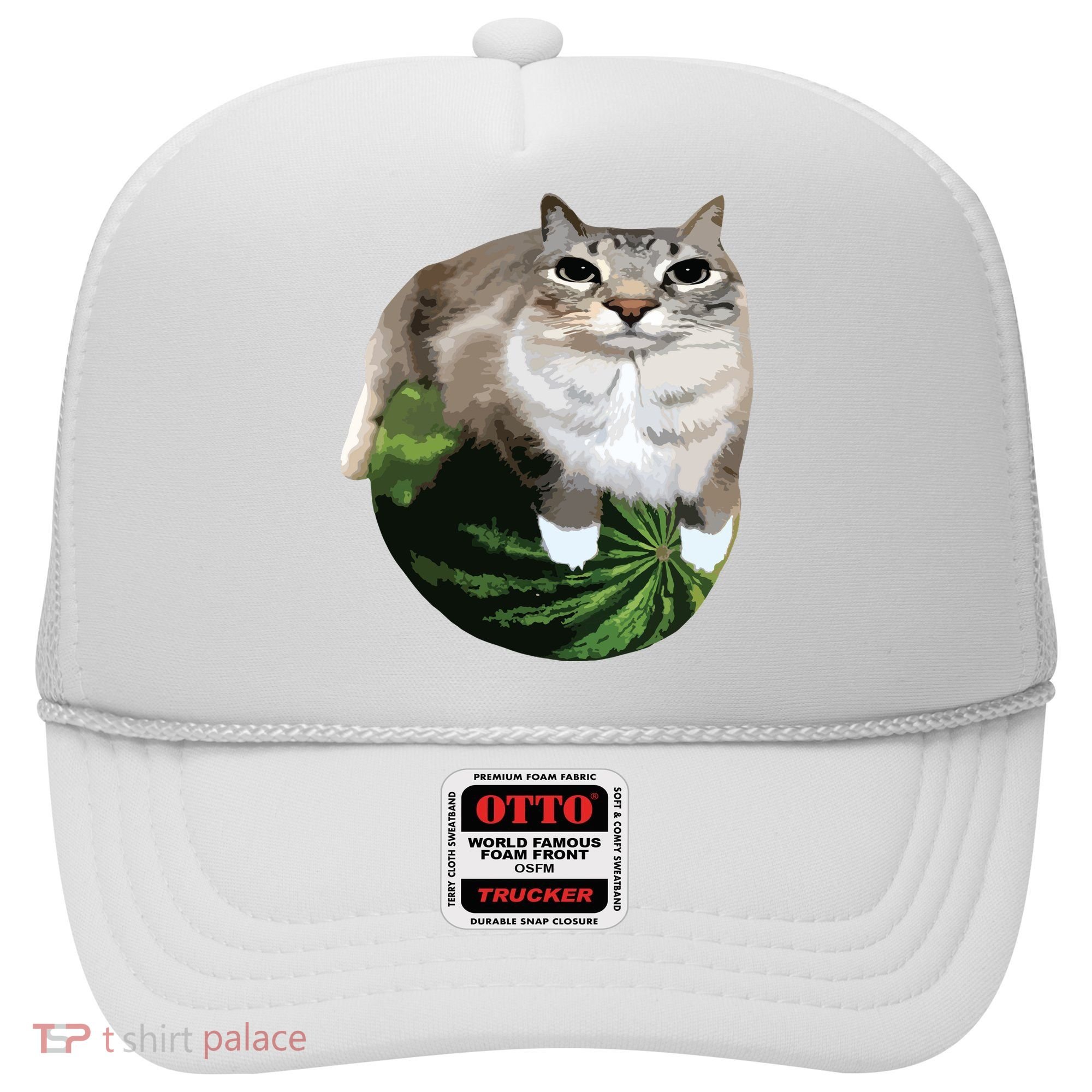 Watermelon Cat Silly Cat Meme Hat