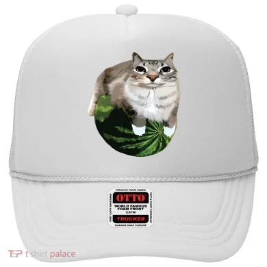 Watermelon Cat Silly Cat Meme Hat