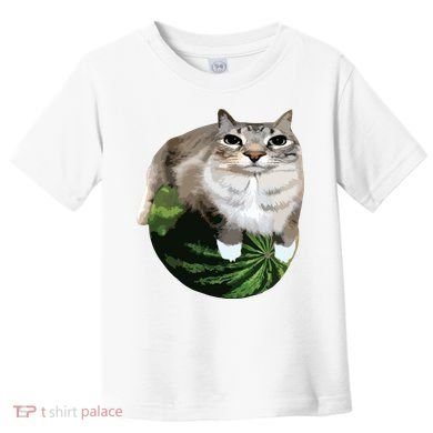 Watermelon Cat Silly Cat Meme Toddler T-Shirt