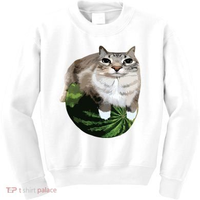 Watermelon Cat Silly Cat Meme Kids Sweatshirt