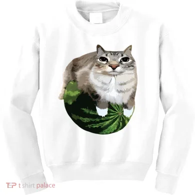 Kids Sweatshirt