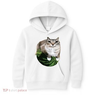 Watermelon Cat Silly Cat Meme Kids Hoodie