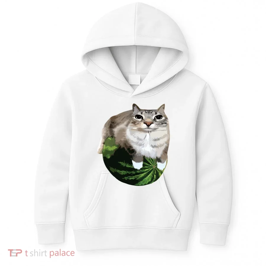 Watermelon Cat Silly Cat Meme Kids Hoodie
