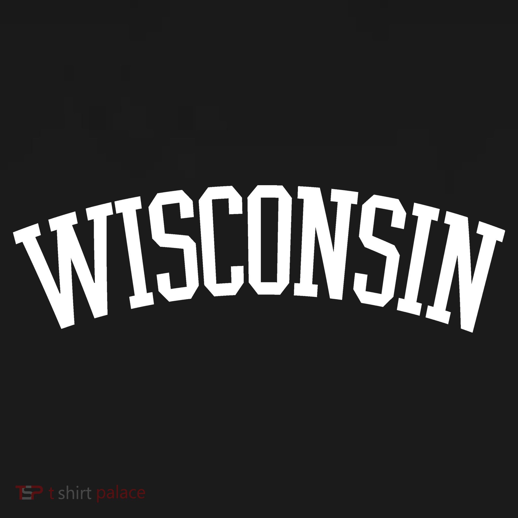 Wisconsin College Sports Fan Logo Women's Hoodie