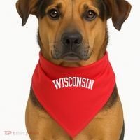 Wisconsin College Sports Fan Logo USA-Made Doggie Bandana thumb 1