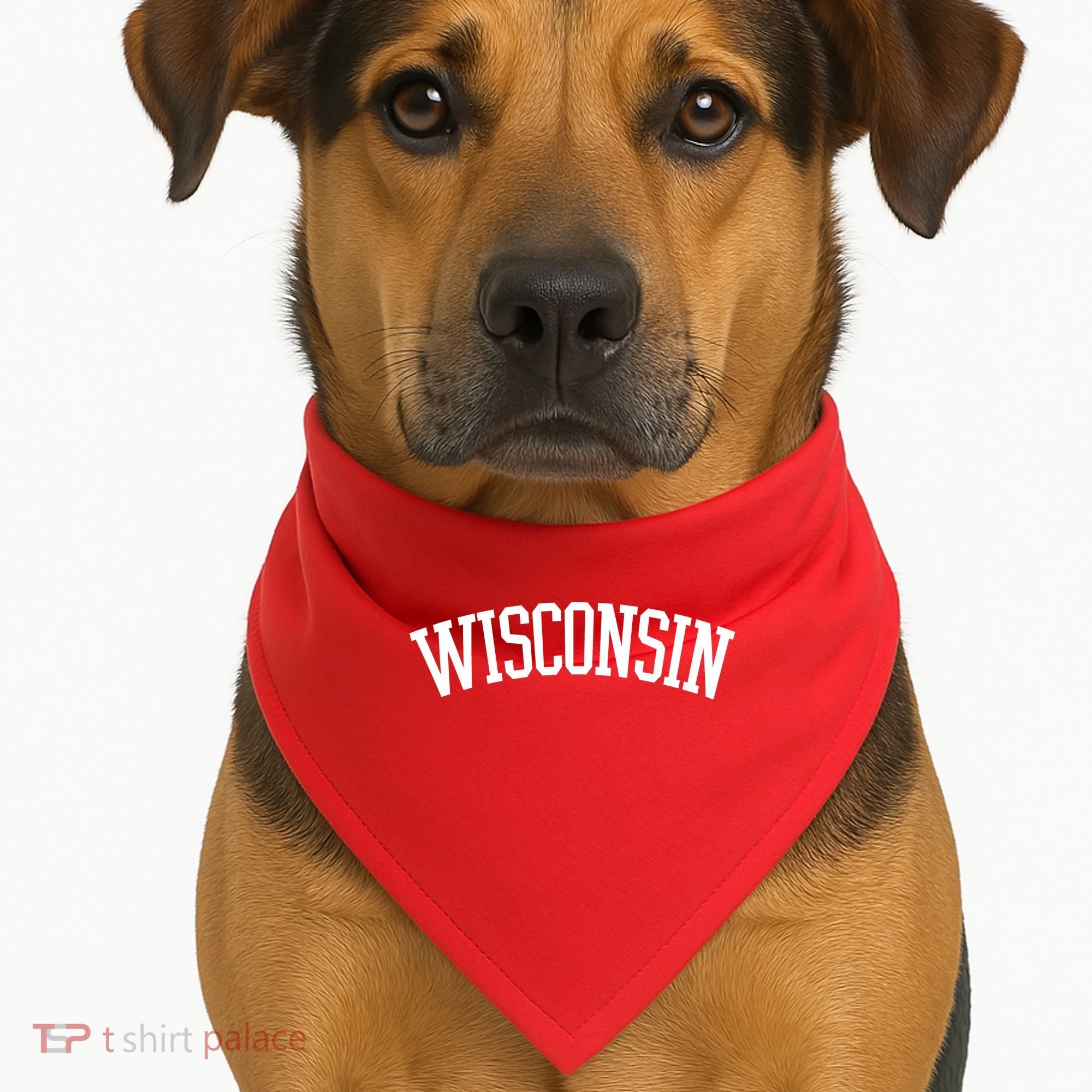 Wisconsin College Sports Fan Logo USA-Made Doggie Bandana