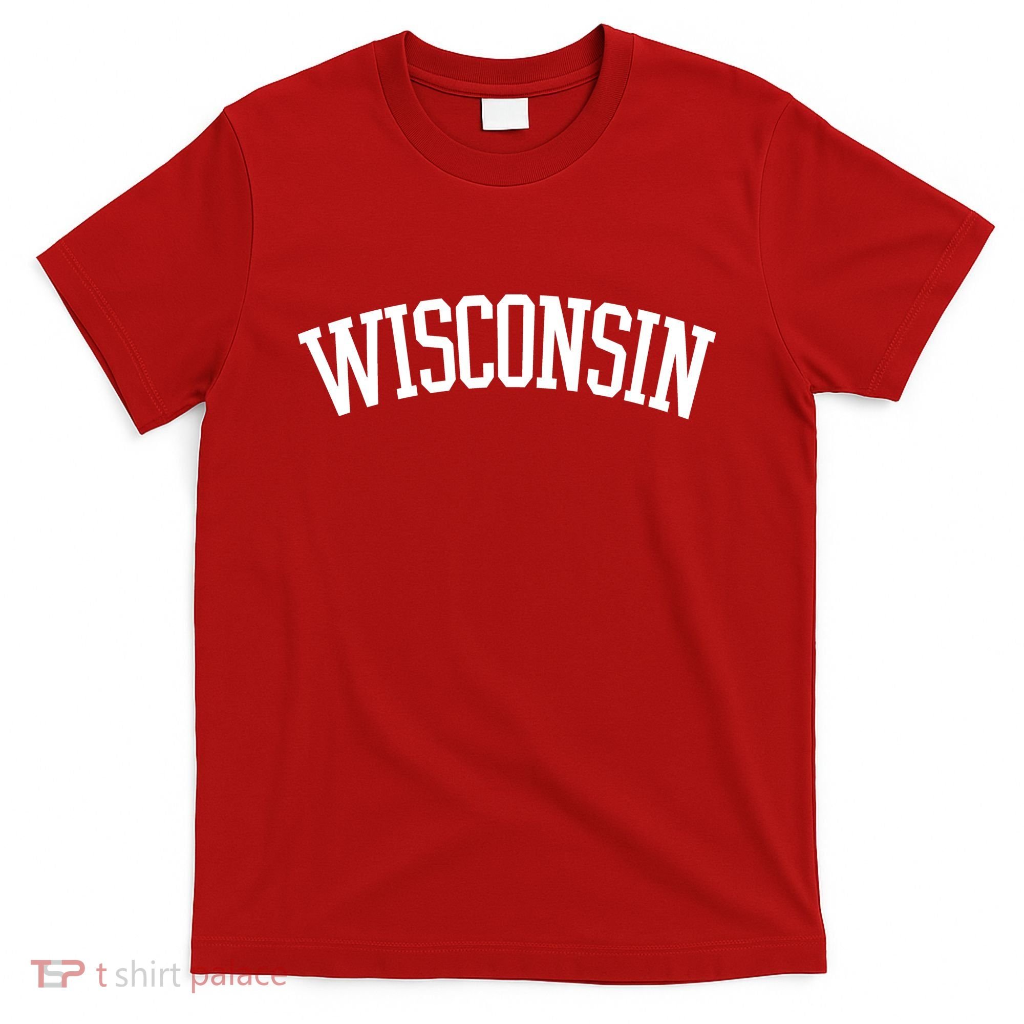 Wisconsin College Sports Fan Logo T-Shirt
