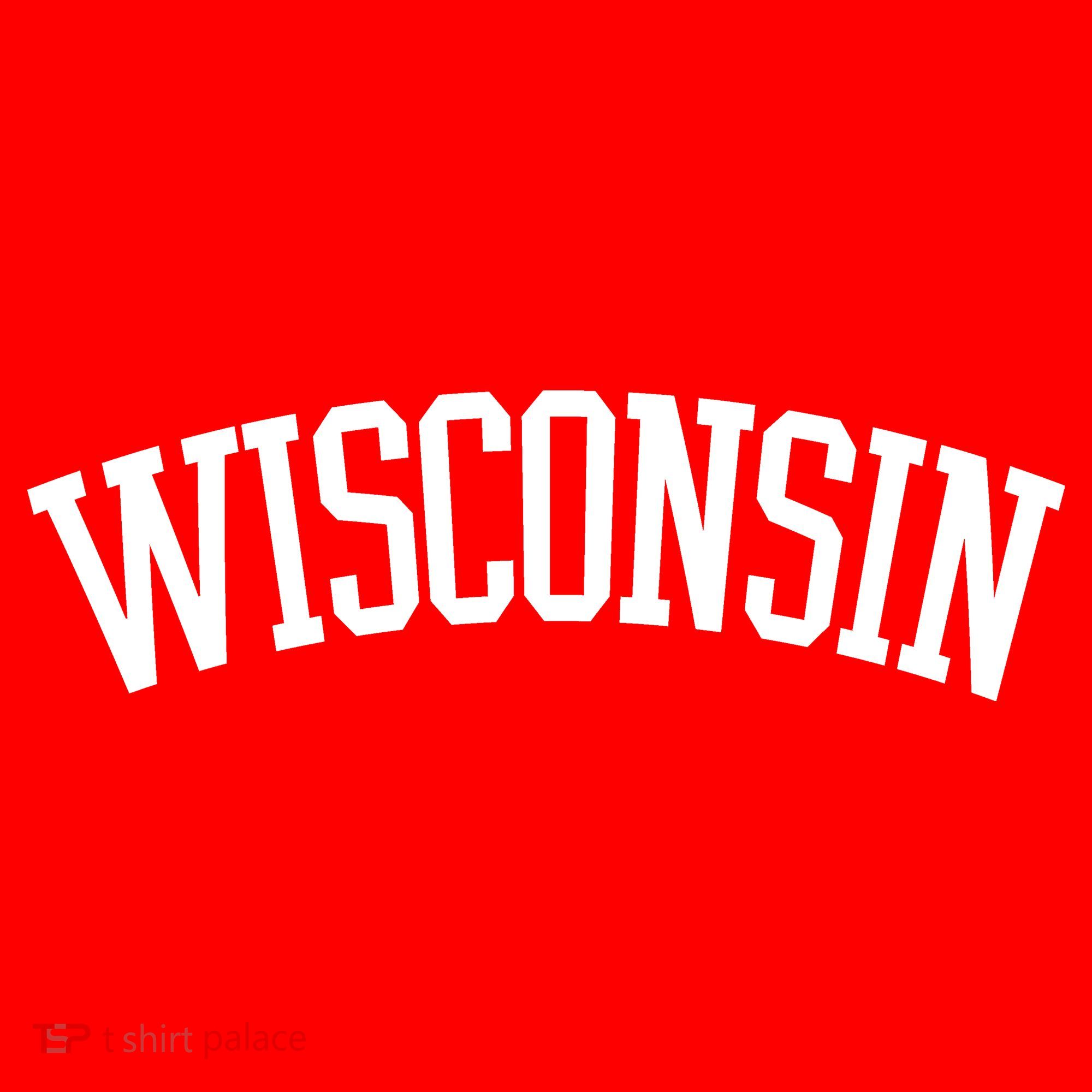 Wisconsin College Sports Fan Logo Pom Pom 12in Knit Beanie